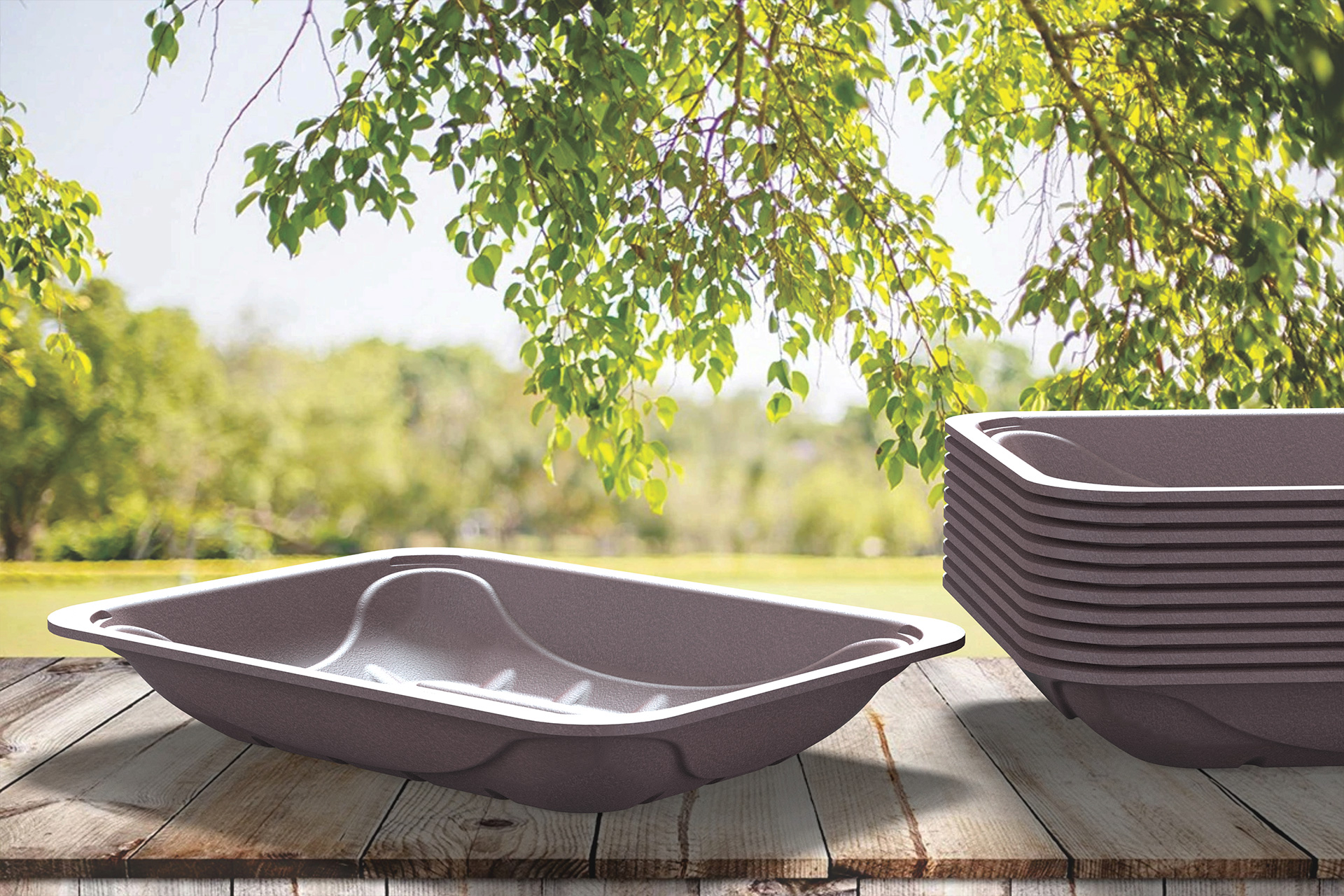 FOAMED PET TRAYS Triton International Enterprises